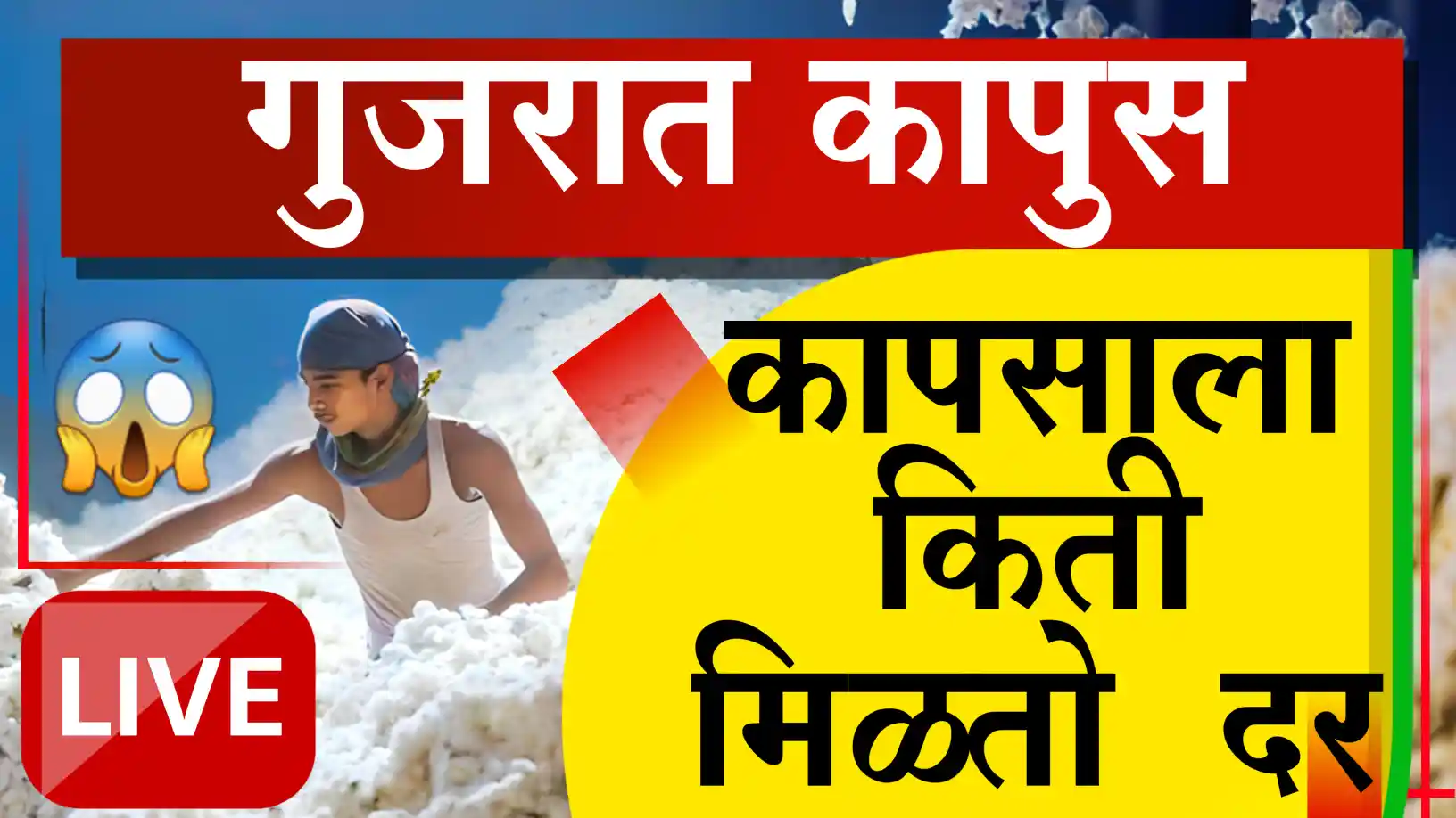 1 October cotton rate gujarat