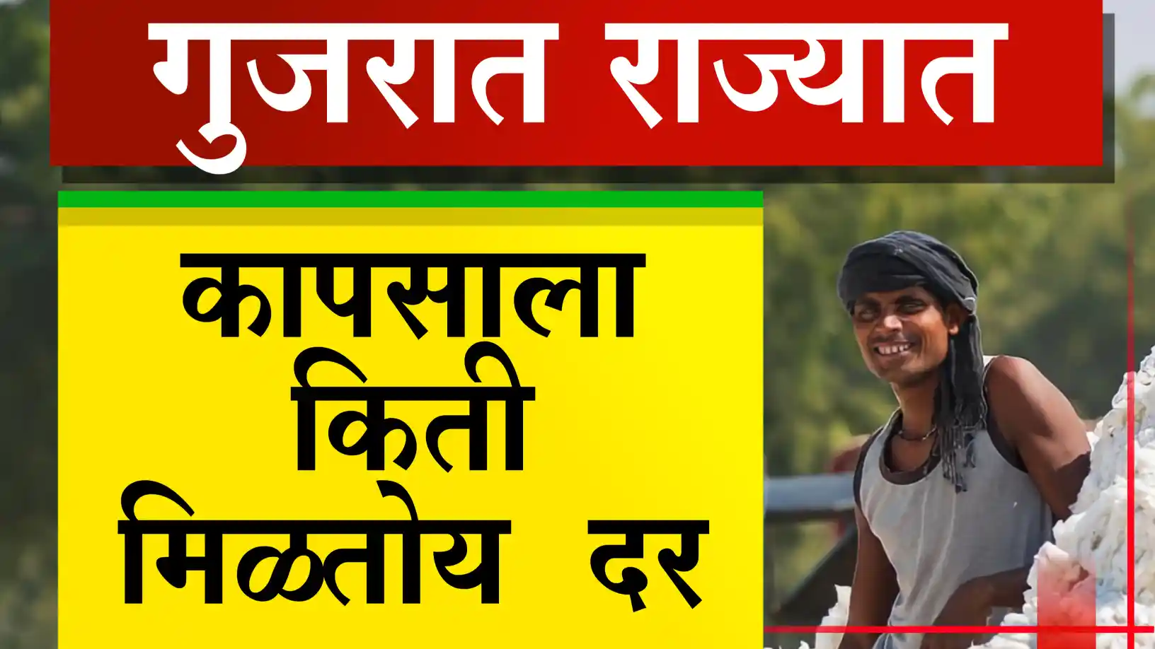 सर्वाधिक दर कापसाला किती मिळाला