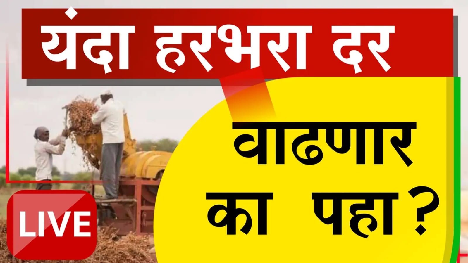 हरभरा दरात